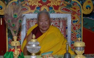 HH-Taklung-Tsetrul-Rinpoche